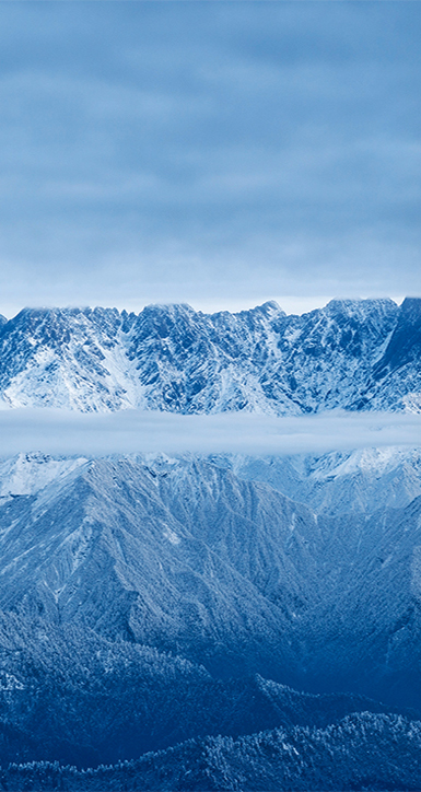 关于3003新葡的京