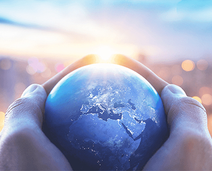 3003新葡的京资本